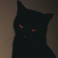 fucktenshi