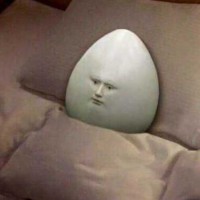 thicclatina2
