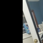 Kitten149