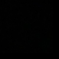 Toothpick00789