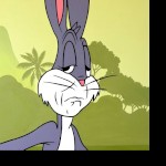 MrRabbit91