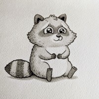 Shy Racoon