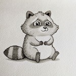 Shy Racoon