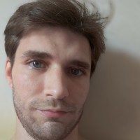 Kral D Vogel
