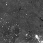 KinkyCollegeStudents