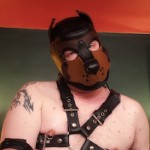 KinkyWolf