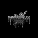 FerMaxwellx