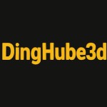 DingHube3D