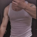 themisterynotes