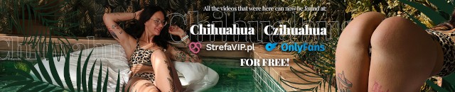 ChihuahuaSU