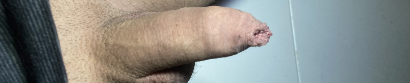 Lil Cock BF
