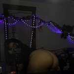 BunBunMadhouse