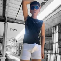 Discreet Troye