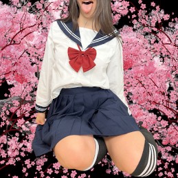 theperfectjapanese