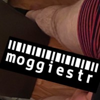 Moggiestr