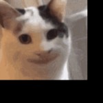 Spooky_Sasha