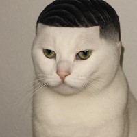 BobbBoughner