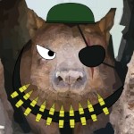 thatcombatwombat