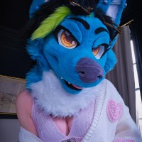 Blberrylicious