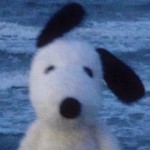 Pupper Bone
