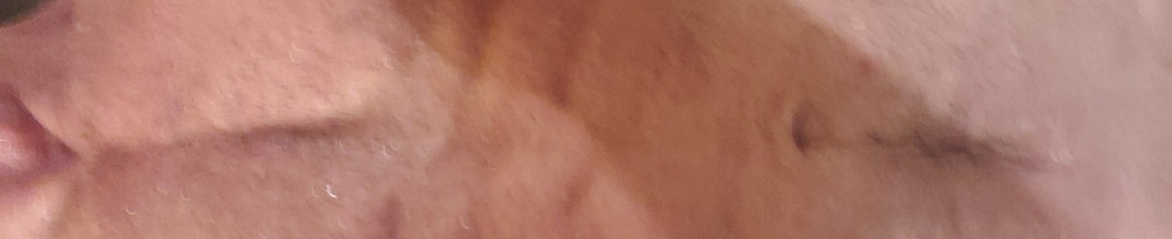 WelschSteak