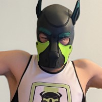 Codi Pupboy