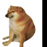 BrunoyBunny