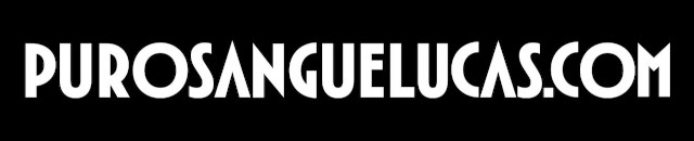 Purosangue Lucas