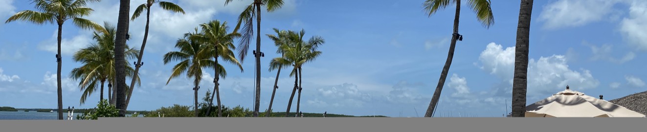 ForeFishing4184