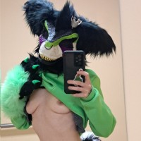 Robin Raptor