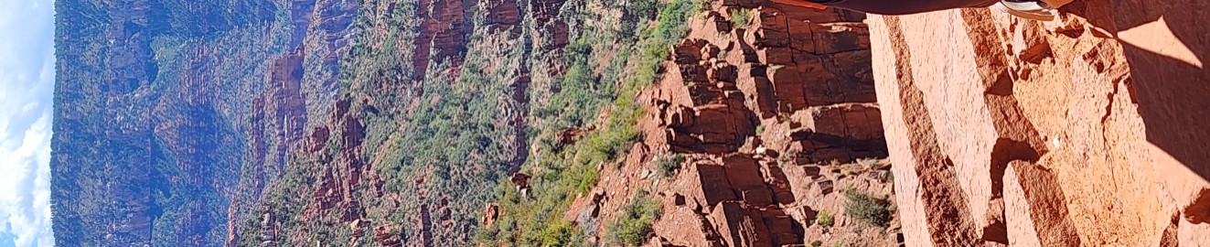 SheenaGoneWild