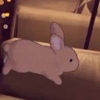 CinnamonBunVR