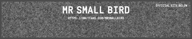 Mr Small Bird