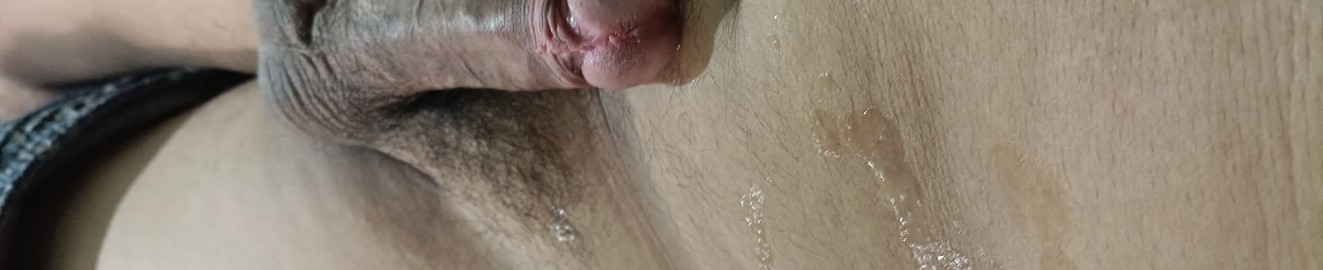 Palometo16