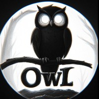 Oowl