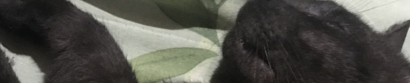 bibi
