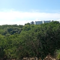 Xavier_Urbina