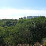 Xavier_Urbina