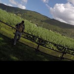 Simon Crowler Productions