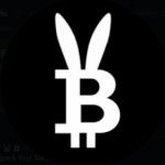 BitcoinBunney