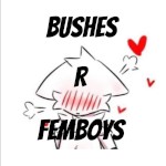 Bushes r femboys