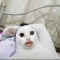 AngelEnergy22