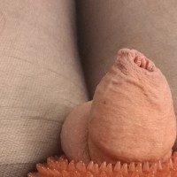 SosyTinkleTrixie