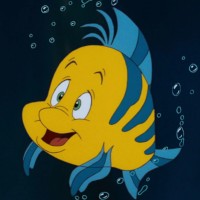 ASMR FISH