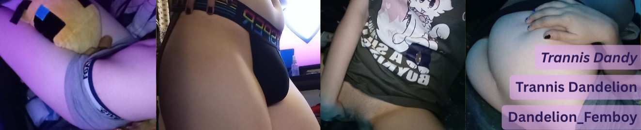 Trannis Dandy