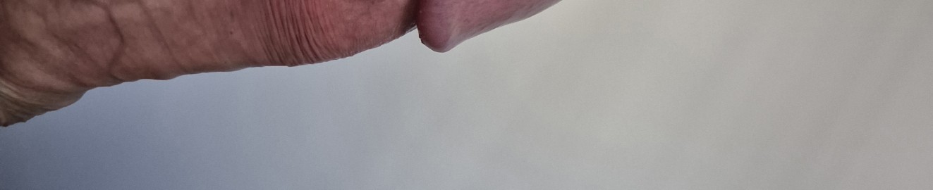 Hootboy22cm