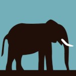 Natacha Pute De Lyon