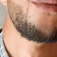 El digger