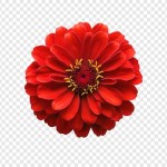 Dante and AJ Phoenix