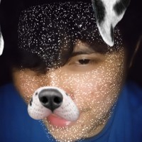 Liittitikimg12
